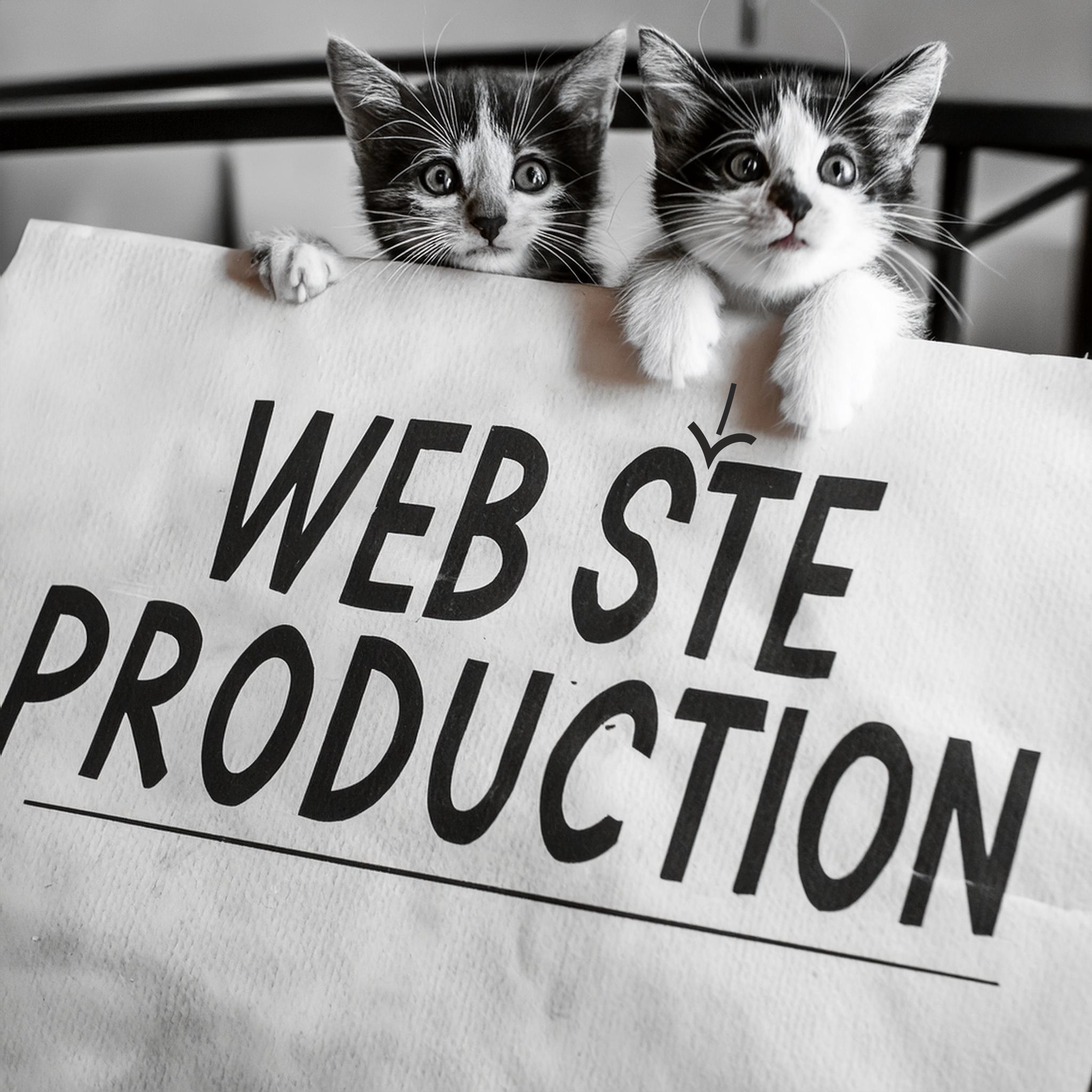 two-cats